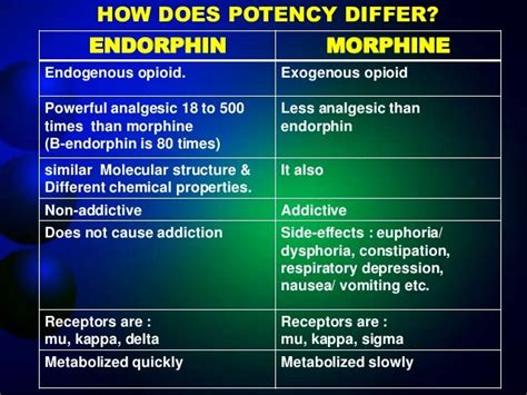 how are opioids similar to endorphins